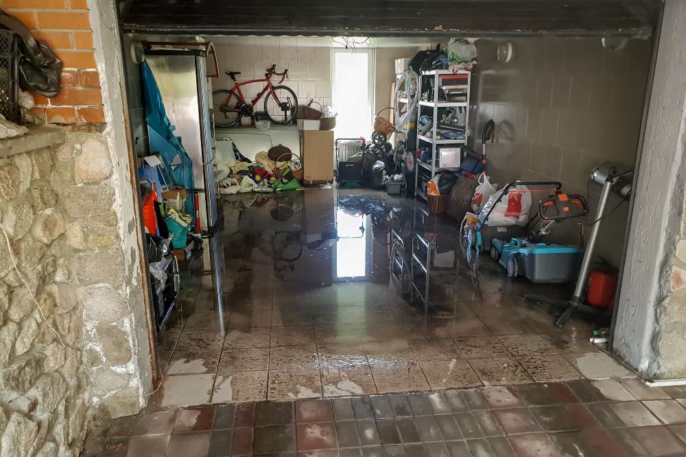 pulizie urgenti roma rapida servizi ditta pulizie